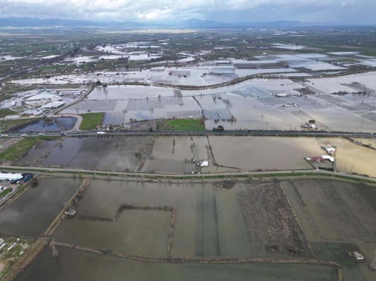 KÖKLERDE ÇÜRÜME TEHLİKESİ