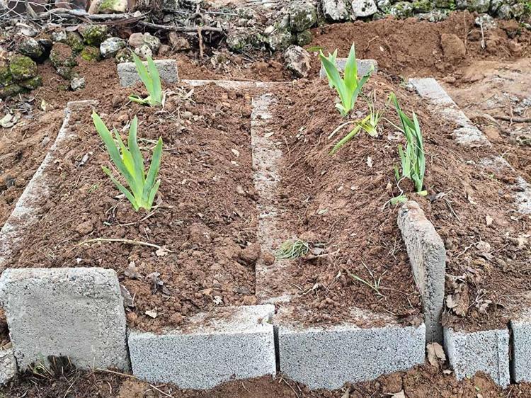 YAN YANA DEFNEDİLDİLER