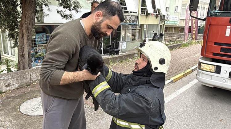 KEDİYE KALP MASAJI VE MUTLULUK ÖPÜCÜĞÜ