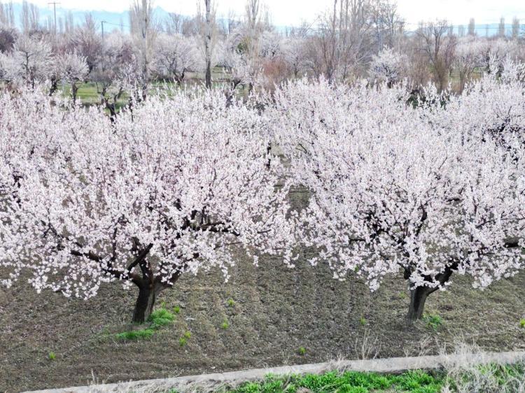 ÜRETMEMİZ GEREKİYOR