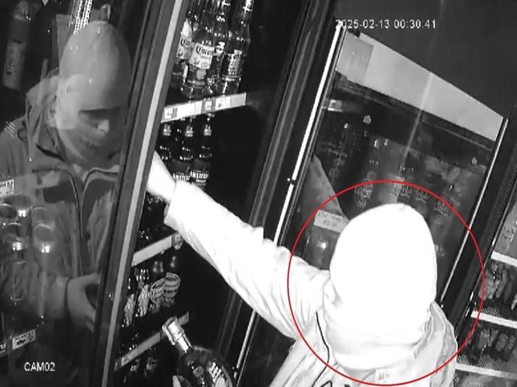 HIRSIZLIK GÜVENLİK KAMERASINDA