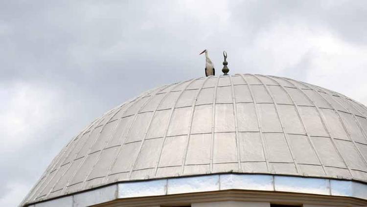 3 METRE ÇAPINDA YENİ YUVA