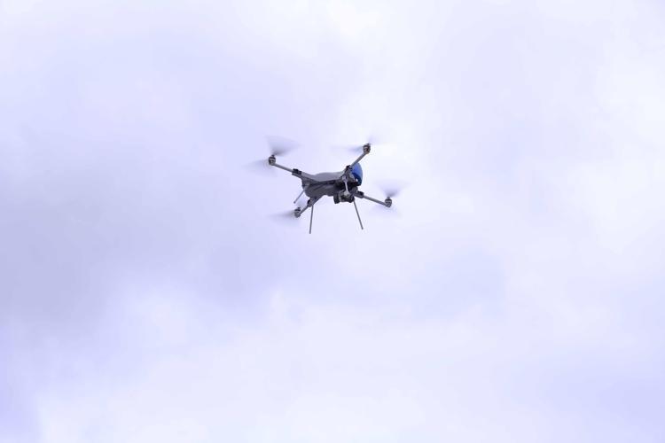 BOYGANIN DA CİDDİ PAZARI VAR