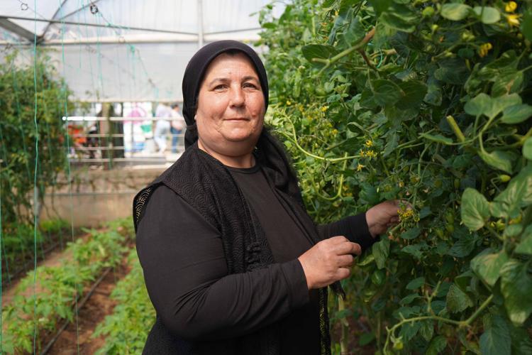 BABAANNEMİN ATA TOHUMUNU GETİRDİM