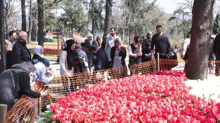 LALE BAYRAMI 11-12 NİSANDA