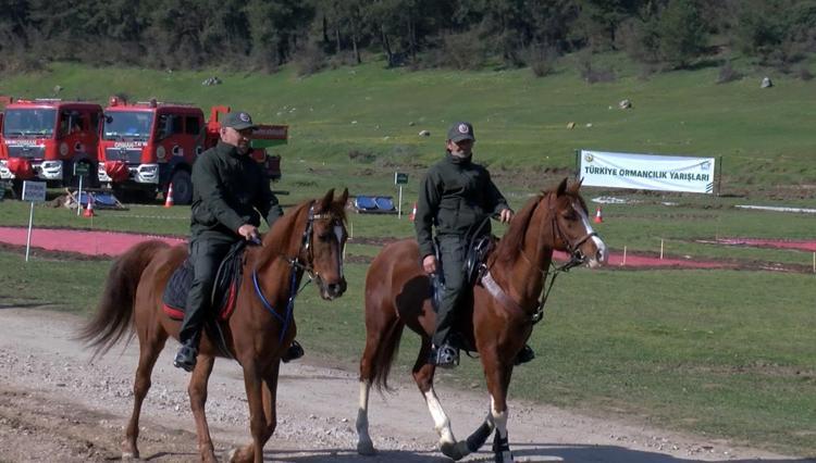 ‘YANAN HİÇBİR ORMAN ALANI BAŞKA BİR AMAÇLA KULLANILMADI’