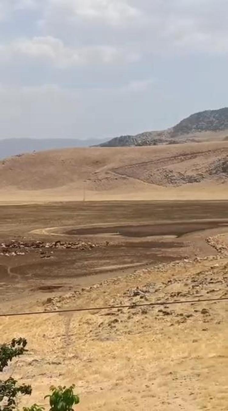 SEDİMENT VE KİLLER DÜDENİ TIKIYOR