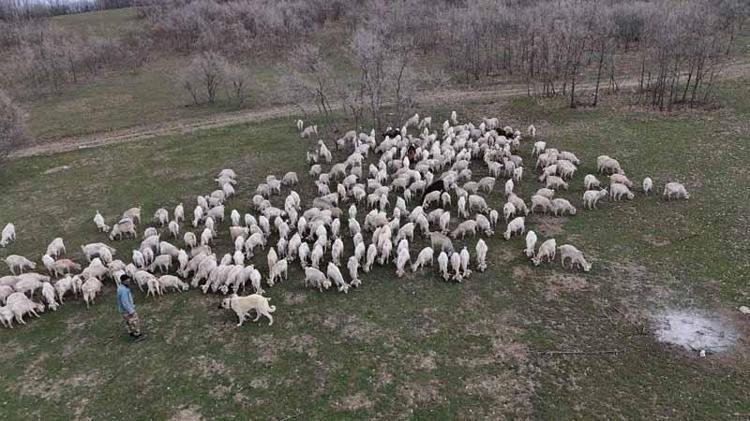 DEVLET DESTEKLERİ MOTİVASYON SAĞLIYOR