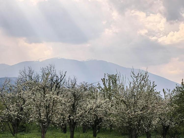HEM İLAÇLAMA HEM İHRACAT ÇALIŞMALARIMIZ BAŞLADI