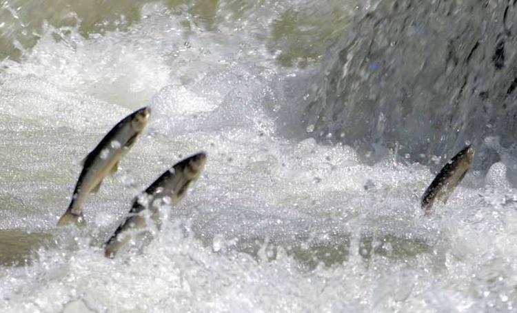 BÖLGENİN MARKA DEĞERİ