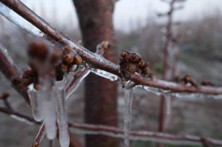 BAHÇELERİMİZDE YATIP KALKIYORUZ