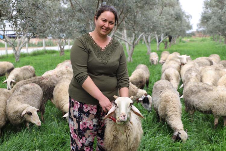 HEDEFİMİZ 100 KOYUN