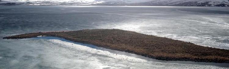 ÇÖZÜLME GECİKTİ