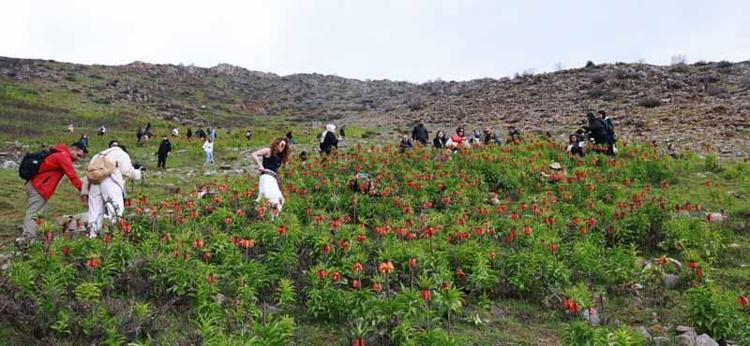 MUŞTA OLDUĞUNU BİLMİYORDUM