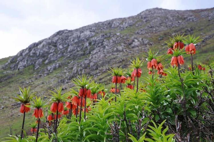 DENETİMLER SIKLAŞTI