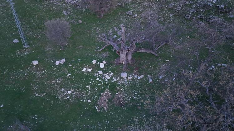 VALİ VE OĞLU İLE BİRLİKTE 12 ŞÜPHELİ TUTUKLANDI