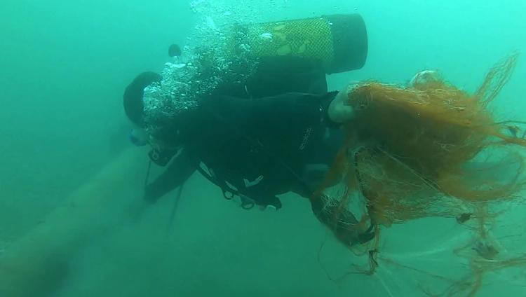 BALON BALIĞI AVCILIĞI