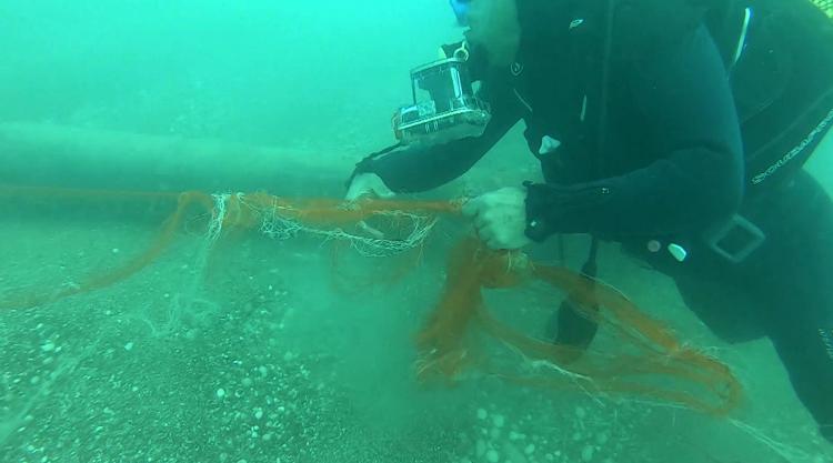 GEÇEN YIL 438 MİLYON METREKARE ALAN TARANDI