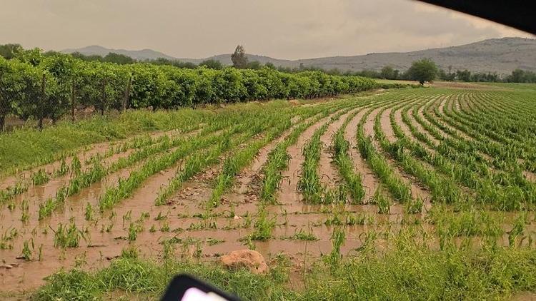 CANSIZ BEDENİ BULUNDU