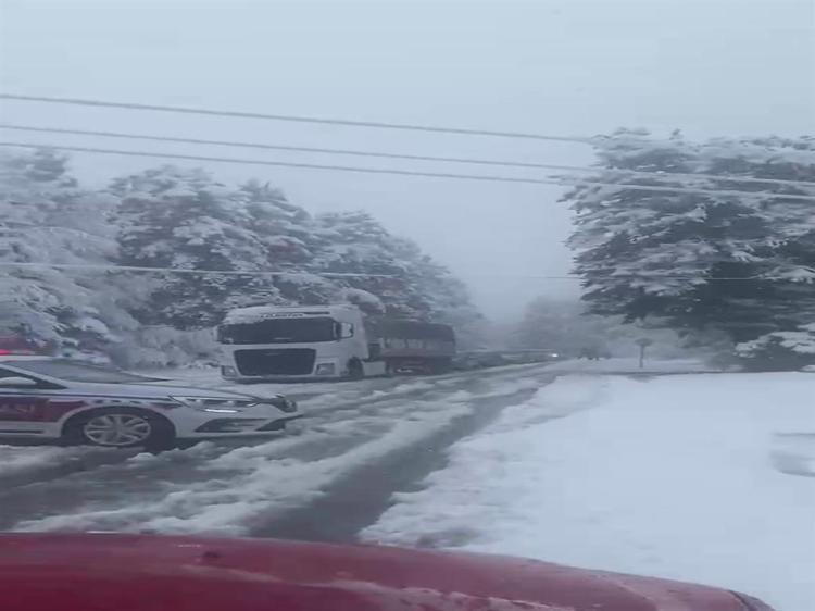 DEVRİLEN AĞAÇLAR YOLU KAPATTI