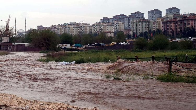 FISTIK AĞAÇLARI ZARAR GÖRDÜ