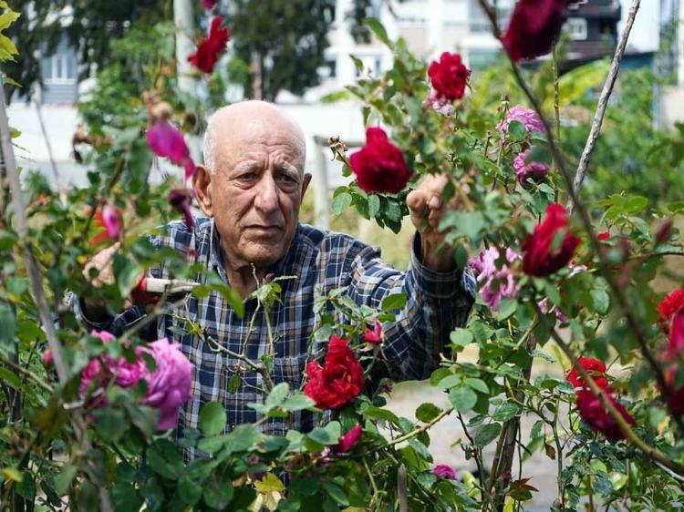 KIRMIZI VE BEYAZ GÜL ÖNE ÇIKIYOR