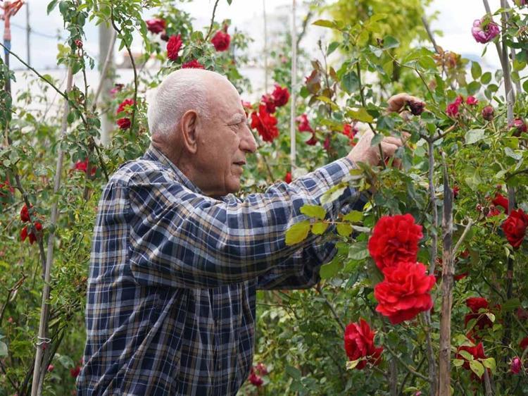 FİYATLAR 150 LİRADAN BAŞLIYOR