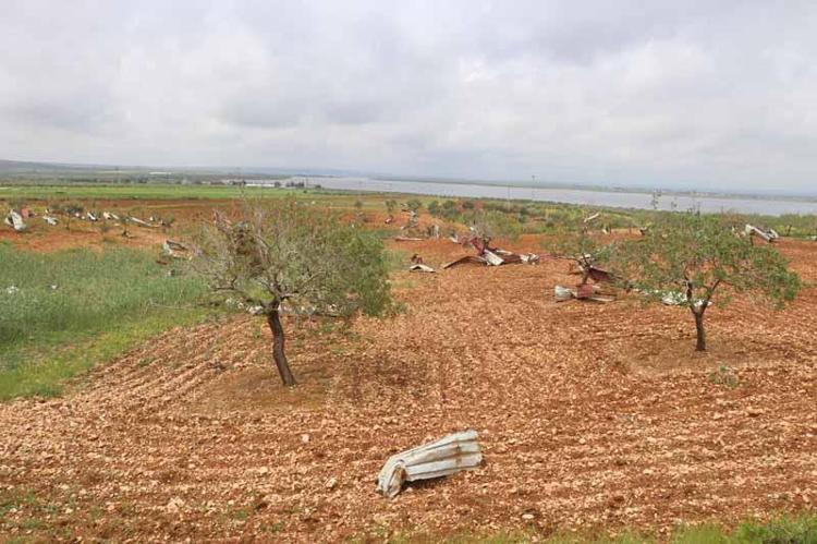 BU YIL ‘VAR YILI’YDI