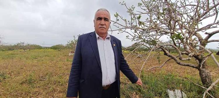 ‘REKOLTEYİ KESTİRMEK ZOR’