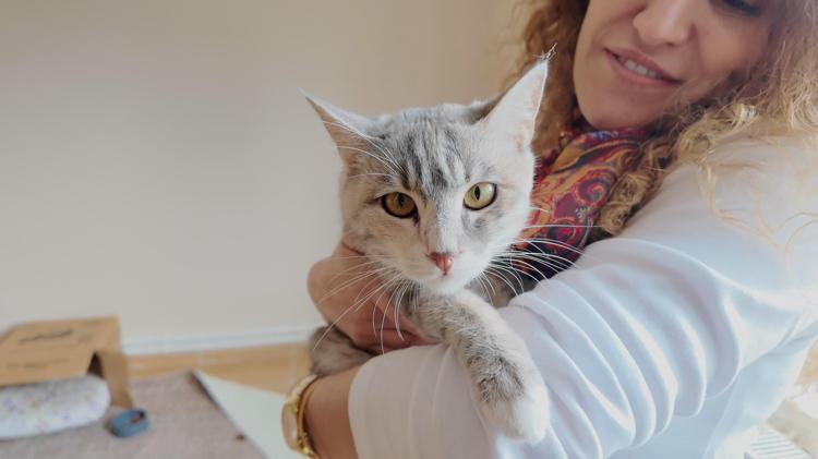ACİL DURUMDAKİ 2 KEDİMİZİ TEDAVİYE GÖNDEREMİYORUZ