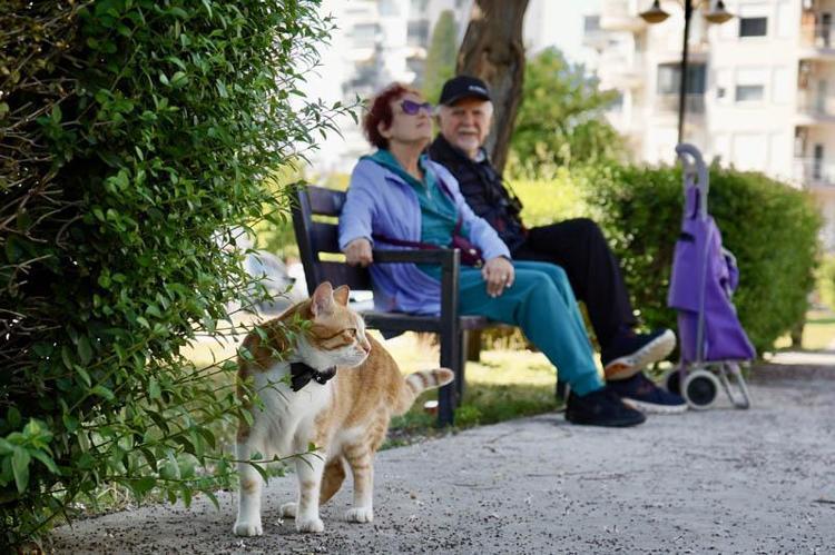 FOÇANIN HİKAYESİ TESADÜFEN BAŞLADI