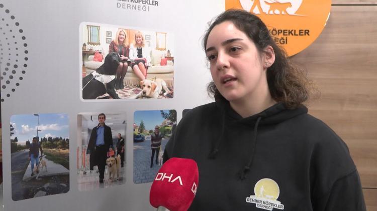 KÖPEKLERİMİZ BAĞIŞ YOLUYLA GELİYOR