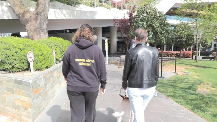 DÜNYADA REHBER KÖPEK SAYISI 35-40 BİN CİVARI