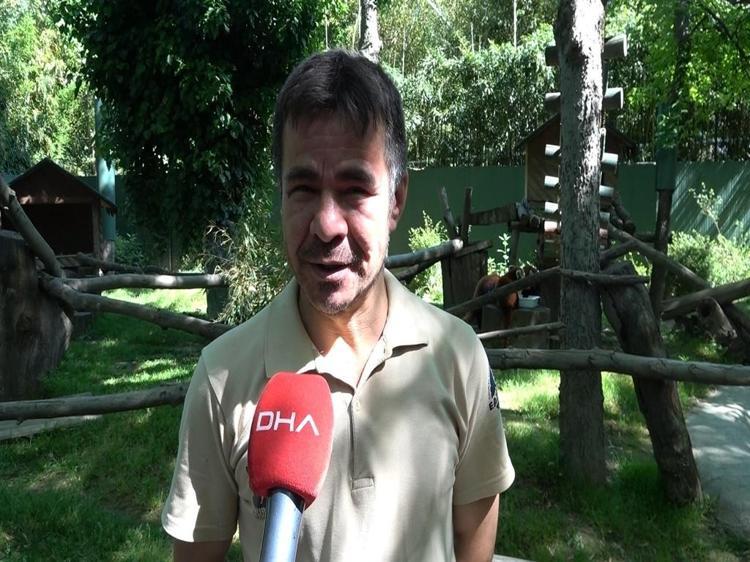 ‘YAVRULAR, KENDİ ARALARINDA VE ANNELERİYLE ÇOK İYİ ANLAŞIYORLAR’