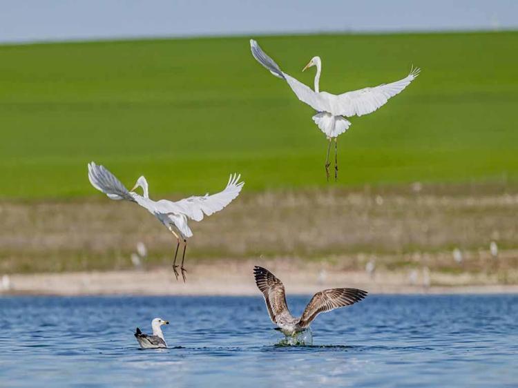 ‘GÖLET KORUMA ALTINA ALINMALI’