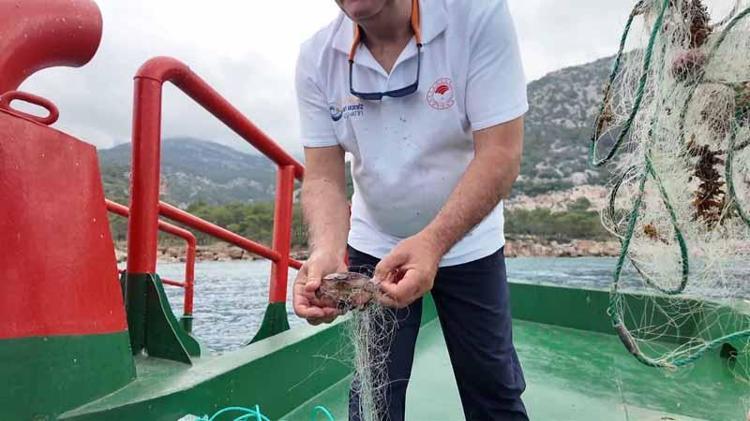 AĞLARA TAKILMIŞ ÇOK SAYIDA YENGEÇ ÇIKTI