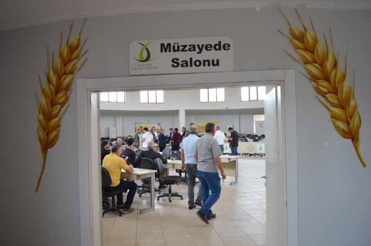 ‘GEÇMİŞ YILLARA GÖRE VERİM ÇOK GÜZEL’