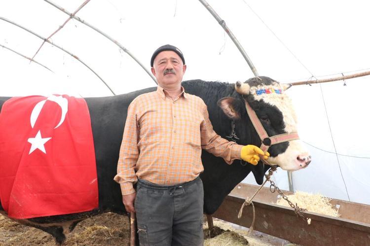 ‘GEMİ GİBİ KURBANLIK GETİRDİM’