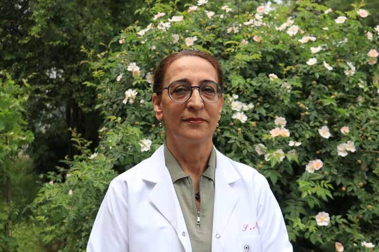 BİTKİ ÇEŞİTLİLİĞİ HAD SAFHADA
