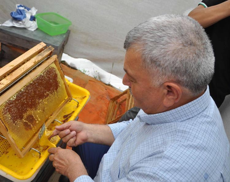 GAZİPAŞAMIZA ÖZGÜ BİR TAT