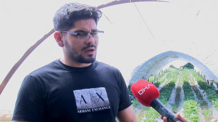 100 TON CİVARINDA REKOLTE BEKLİYORUZ