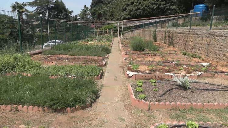 ‘BEYKOZDA YAKLAŞIK YILDA EN AZ 3 TON KADAR KOMPOST ÜRETİMİ GERÇEKLEŞTİRİYORUZ ‘
