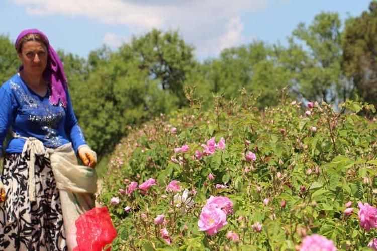 1800LÜ YILLARDAN BU YANA UZANAN SERÜVEN