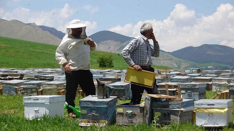 ‘BEKLENTİMİZİN ÜZERİNDE VERİM ALIYORUZ’