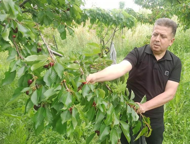 ÇİFTÇİMİZ KAZANIR, TÜRKİYENİN EKONOMİSİ KAZANIR