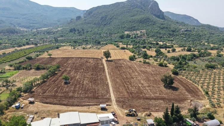 100 DÖNÜMLÜK ARAZİYE SERİLİYOR