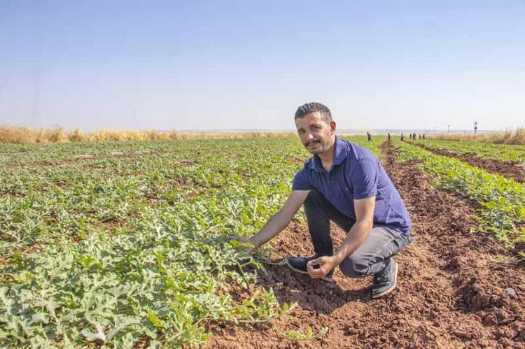 MAHSULÜMÜZ ŞU AN ÇOK İYİ
