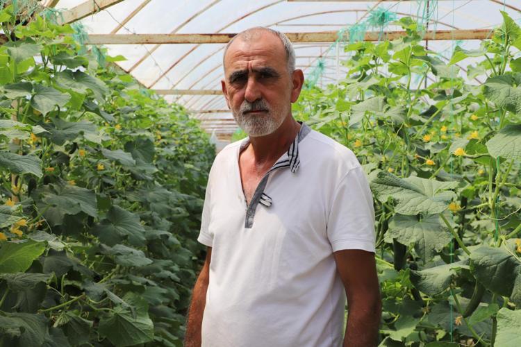 TEMMUZ SONUNA KADAR HASAT SÜRÜYOR