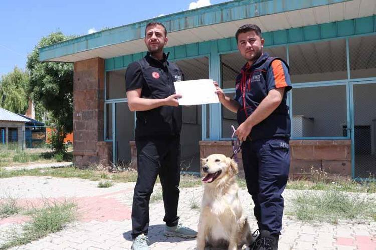 KÖPÜK GENÇLERE DE ÖRNEK OLUYOR