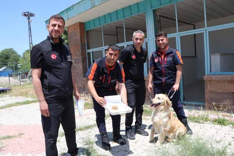 GÖRDÜĞÜM EN CEFAKAR KÖPEKLERDEN BİRİ